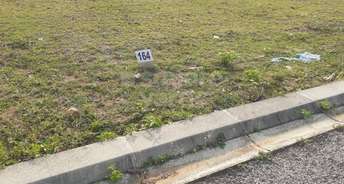  Plot For Resale in Sector 43 Gurgaon 6461390