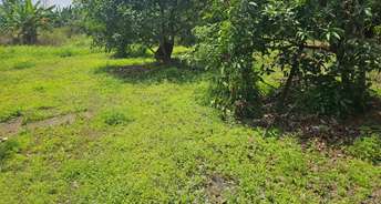 Commercial Land 4356 Sq.Ft. For Resale In Sakthan Thamouran Nagar Thrissur 6461554