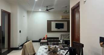 3 BHK Builder Floor For Rent in Phase 10 Mohali 6461825