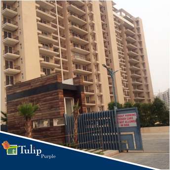 4 BHK Apartment For Resale in Tulip Purple Sector 69 Gurgaon  6462392