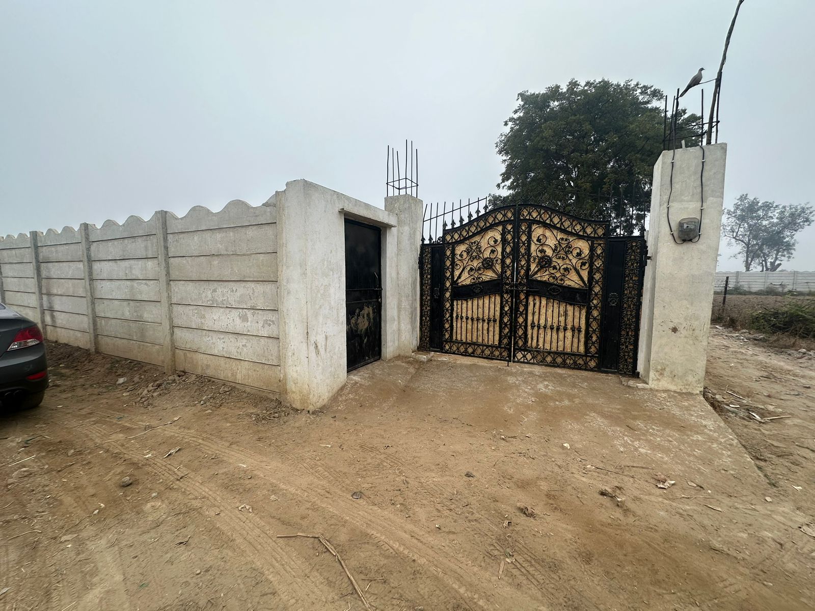 Plot For Resale in Jewar Greater Noida  6462443