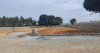  Plot For Resale in Electronic City Phase I Bangalore 6463348
