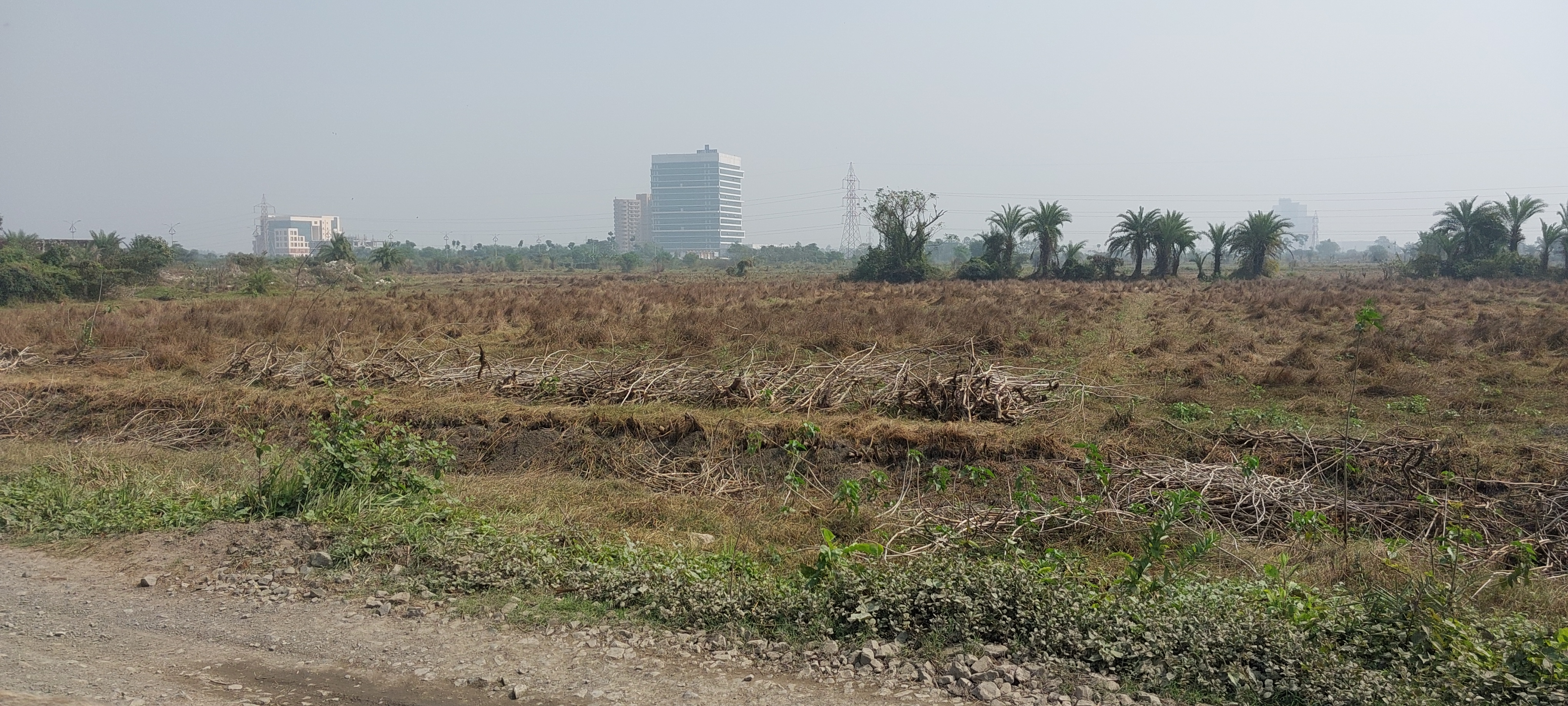 Plot For Resale in Uniworld City Kolkata  6463550