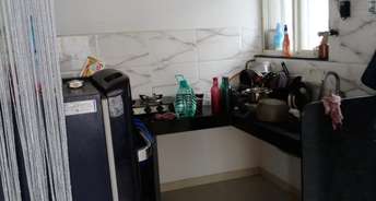 1 BHK Apartment For Rent in Dynamic Oasis Undri Pune 6463730