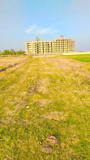  Plot For Resale in Roberts Lines Lucknow 6463903