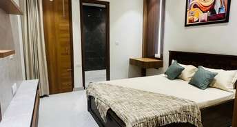 3 BHK Apartment For Rent in Peer Mucchalla Zirakpur 6463911