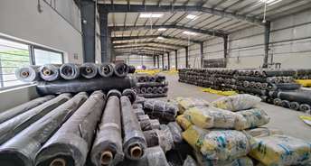 Commercial Warehouse 23000 Sq.Ft. For Rent In Ahmedabad Cantonment Ahmedabad 6464023