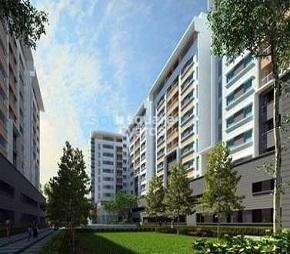 3 BHK Apartment For Rent in Puravankara Purva Midtown Old Madras Road Bangalore  6464820