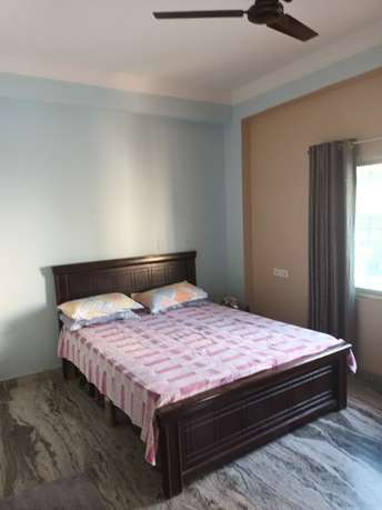 1 BHK Apartment For Rent in Phoenix Golf Edge Gachibowli Hyderabad 6464872