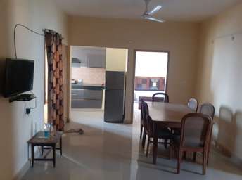 2 BHK Apartment For Rent in Gomti Nagar Lucknow  6464888