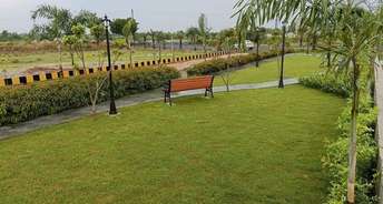  Plot For Resale in Kursi Road Lucknow 6464891