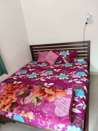 1 BHK Apartment For Rent in Karia Konark Arcade Viman Nagar Pune 6465995