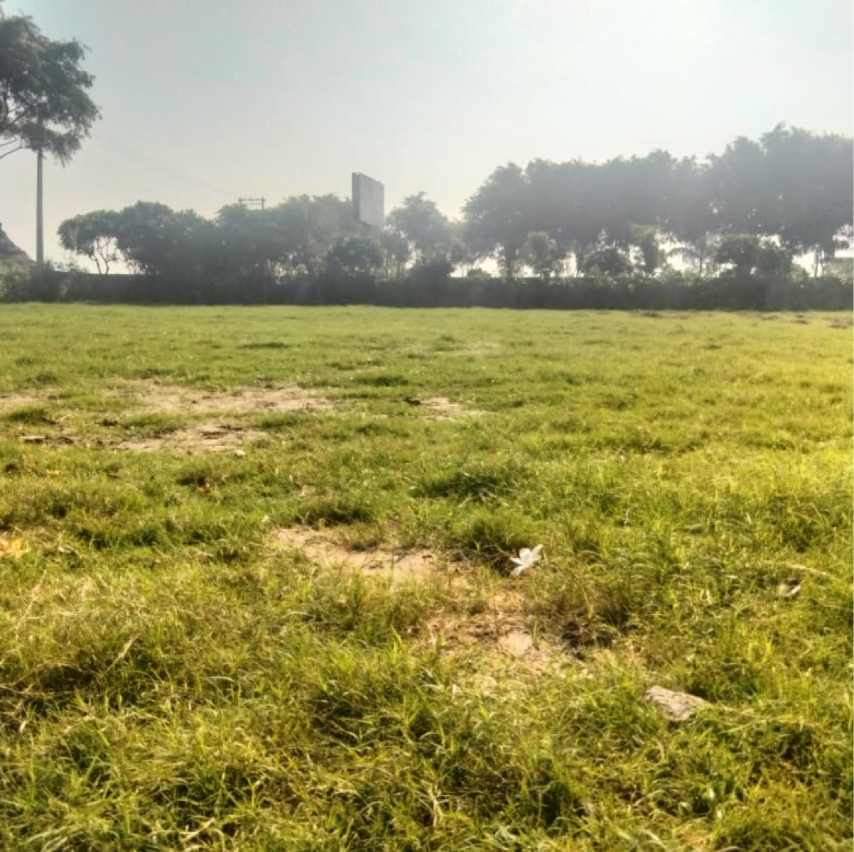 Plot For Resale in Jewar Greater Noida  6466287