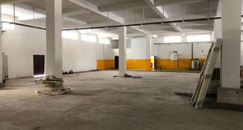 Commercial Warehouse 6000 Sq.Ft. For Rent In Industrial Model Township Rohtak 6466990