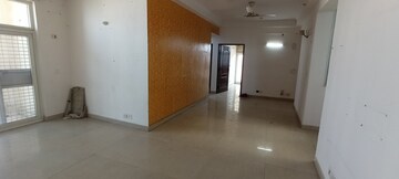 Corridor in 3.5 BHK Apartment at Amrapali Eden Park, Sector 50 – for Sale