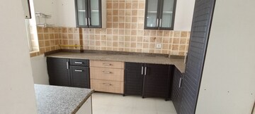 Kitchen in 3.5 BHK Apartment at Amrapali Eden Park, Sector 50 – for Sale