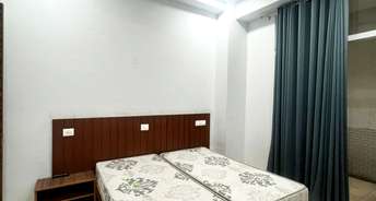 Studio Builder Floor For Rent in Sector 52 Gurgaon 6467211