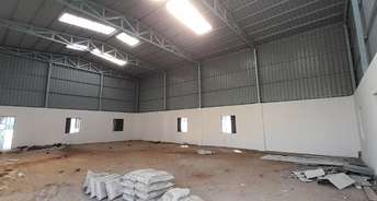 Commercial Warehouse 5000 Sq.Ft. For Rent In Sarkhej Ahmedabad 6467938