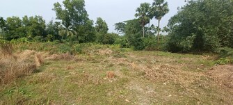 Plot For Resale in Southern Park Baruipur Kolkata  6468575