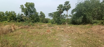 Plot For Resale in Southern Park Baruipur Kolkata  6468575