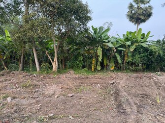 Plot For Resale in Southern Park Baruipur Kolkata  6468575