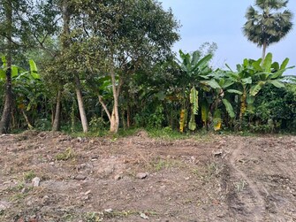 Plot For Resale in Southern Park Baruipur Kolkata  6468575