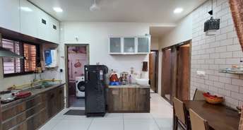3 BHK Apartment For Rent in New Karelibaug Vadodara 6469723