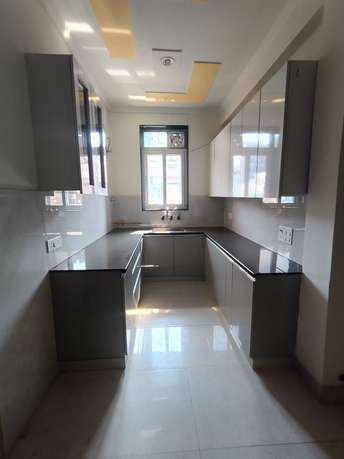 3 BHK Builder Floor For Rent in Sector 48 Noida 6469772