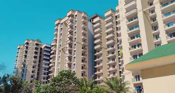 2 BHK Apartment For Resale in Nilaya Greens Raj Nagar Extension Ghaziabad 6470215