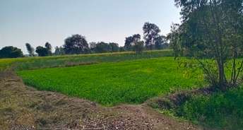 Commercial Land 25 Acre For Resale In Lucknow Road Hardoi 6470274