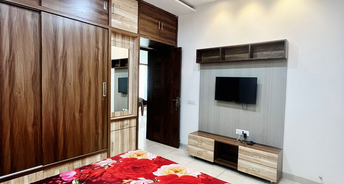 1 RK Builder Floor For Rent in Brs Nagar Ludhiana 6470685