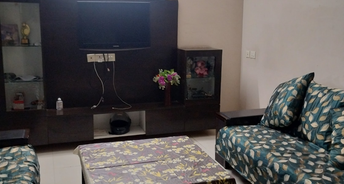3 BHK Apartment For Resale in Grand Vista Apartments Sector 21c Faridabad 6471126
