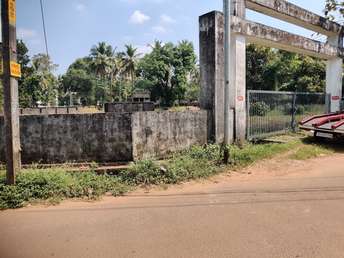  Plot For Resale in Amala Thrissur 6471998
