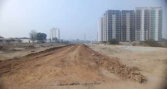  Plot For Resale in Sector 75 Faridabad 6472115
