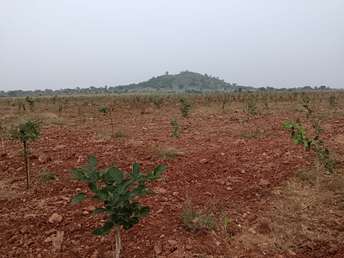 Commercial Land 1256 Sq.Ft. For Resale In Housing Board Colony Ongole 6472002