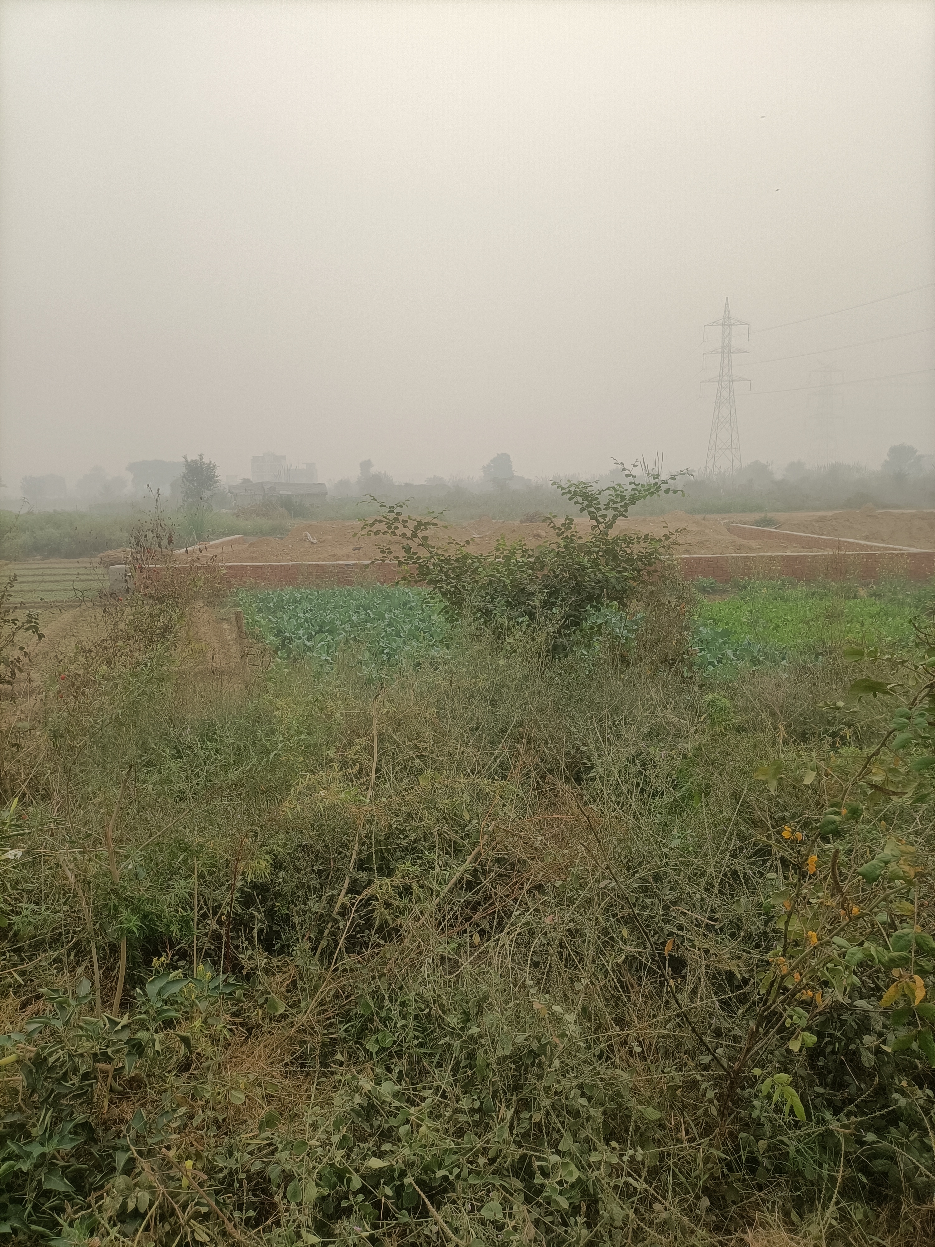 Plot For Resale in Sector Mu 2, Greater Noida Greater Noida  6472164