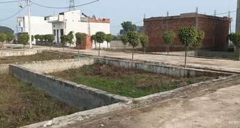  Plot For Resale in Ghaziabad Central Ghaziabad 6472287