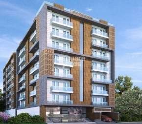 2 BHK Builder Floor For Rent in Dream Wonder Homes Sector 45 Noida 6473571