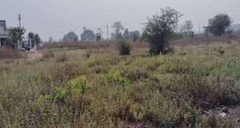 Commercial Land 5 Acre For Resale In Trimurti Nagar Wardha 6432038
