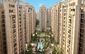 3 BHK Apartment For Rent in Orchid Petals Sector 49 Gurgaon 6474176