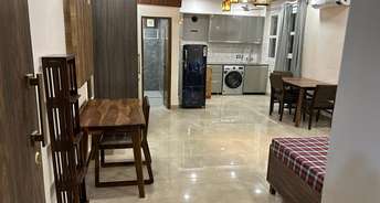 1 BHK Builder Floor For Rent in Green Park Extension Delhi 6474870