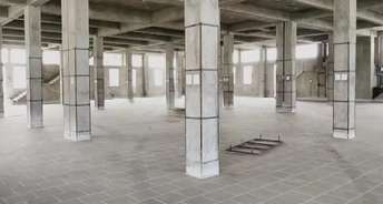Commercial Warehouse 7500 Sq.Mt. For Rent In Sitapura Jaipur 6471458