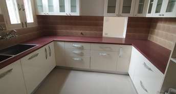 3.5 BHK Builder Floor For Rent in Sector 16 Chandigarh 6475280