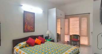 Studio Apartment For Rent in Defence Colony Villas Defence Colony Delhi 6475939