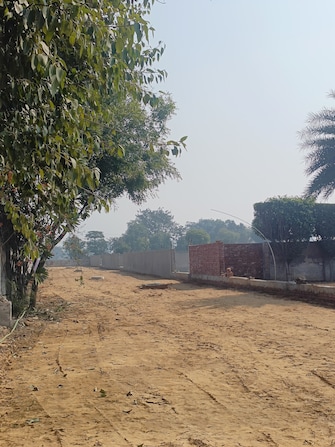 Plot For Resale in Sikri Faridabad  6476352