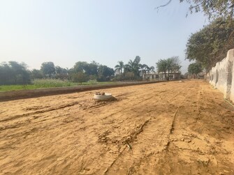 Plot For Resale in Sikri Faridabad  6476352