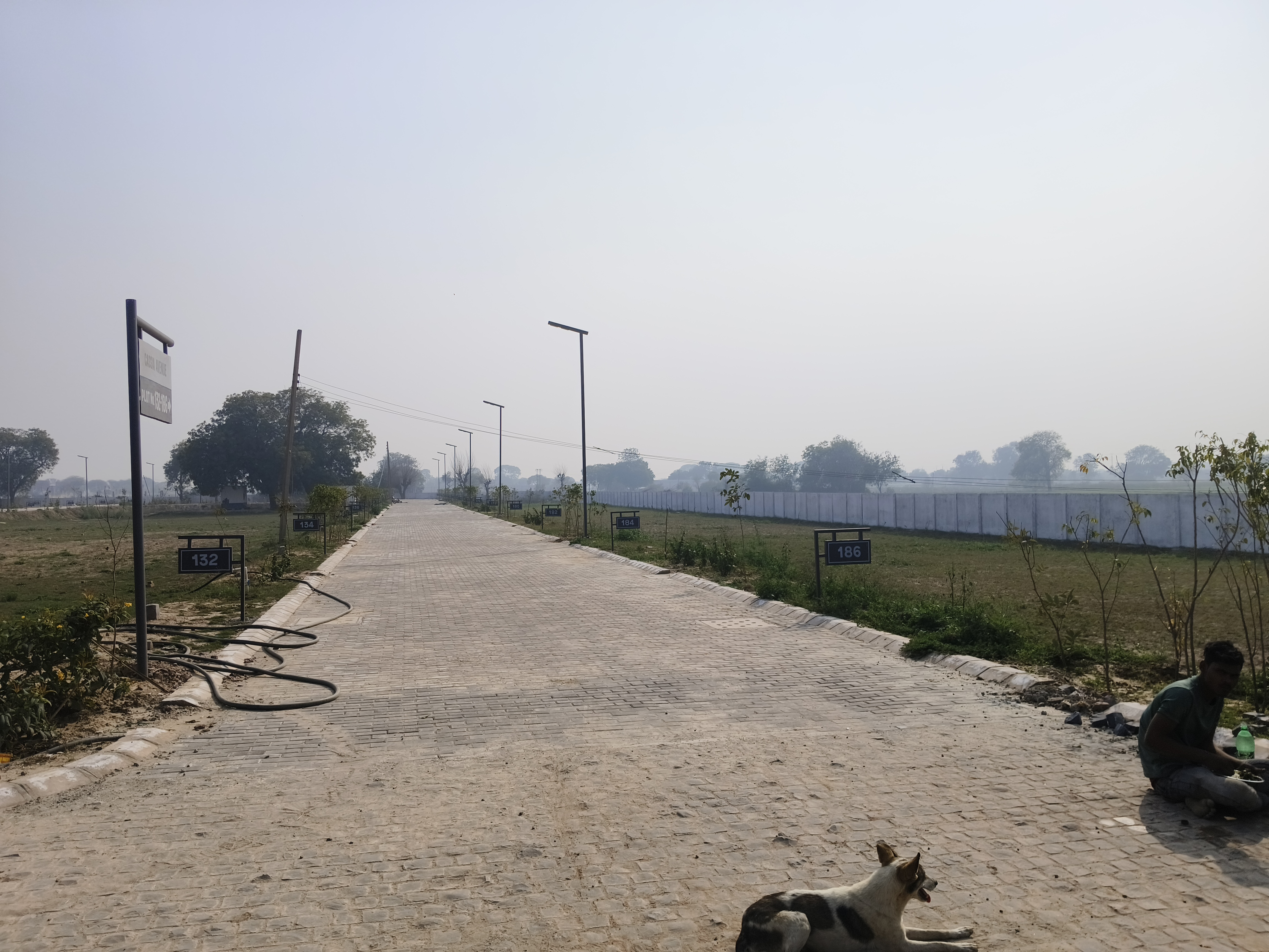 Plot For Resale in Sector 97 Faridabad  6476497