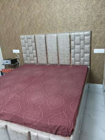 2 BHK Builder Floor For Rent in Kharar Mohali 6476557