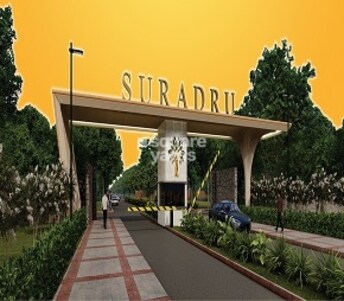 Plot For Resale in Prakash Suradru Rudraram Hyderabad  6477231