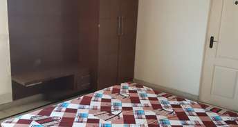3.5 BHK Apartment For Rent in Swaran Villa Friends Apartments Sector 52 Gurgaon 6477799